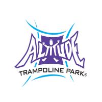 Altitude Trampoline Park image 1